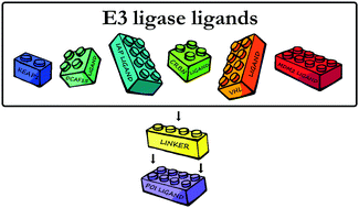 Graphical abstract: E3 ligase ligand chemistries: from building blocks to protein degraders