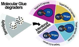 Graphical abstract: Chasing molecular glue degraders: screening approaches