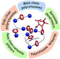 Graphical abstract: Mechanically interlocked polymers based on rotaxanes