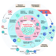 Graphical abstract: Bioengineered nanogels for cancer immunotherapy