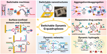 Graphical abstract: Switchable and dynamic G-quadruplexes and their applications