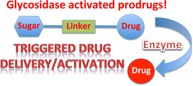 Graphical abstract: Glycosidase activated prodrugs for targeted cancer therapy