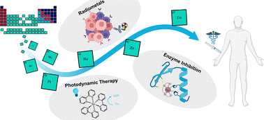 Graphical abstract: Medicinal inorganic chemistry – challenges, opportunities and guidelines to develop the next generation of radioactive, photoactivated and active site inhibiting metal-based medicines