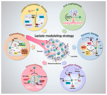 Graphical abstract: Engineering lactate-modulating nanomedicines for cancer therapy