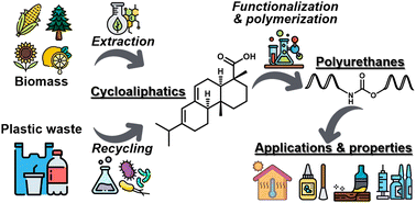 Graphical abstract: Sustainable cycloaliphatic polyurethanes: from synthesis to applications