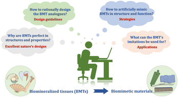 Graphical abstract: Guidelines derived from biomineralized tissues for design and construction of high-performance biomimetic materials: from weak to strong