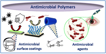Graphical abstract: Polymers showing intrinsic antimicrobial activity