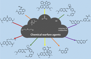 Graphical abstract: Fluorescent probes for the detection of chemical warfare agents