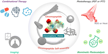 Graphical abstract: Functional chromopeptide nanoarchitectonics: molecular design, self-assembly and biological applications