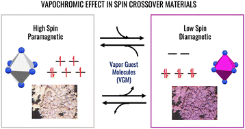 Graphical abstract: Vapochromic effect in switchable molecular-based spin crossover compounds