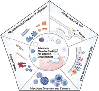Graphical abstract: Adjuvant physiochemistry and advanced nanotechnology for vaccine development