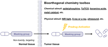 Graphical abstract: Bioorthogonal chemistry for prodrug activation in vivo