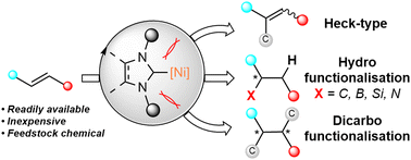 Graphical abstract: N-Heterocyclic carbenes as privileged ligands for nickel-catalysed alkene functionalisation