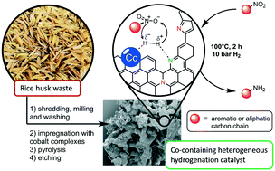 Graphical abstract: Highly active heterogeneous hydrogenation catalysts prepared from cobalt complexes and rice husk waste