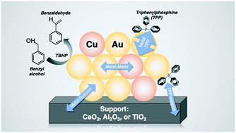 Graphical abstract: Support, composition, and ligand effects in partial oxidation of benzyl alcohol using gold–copper clusters
