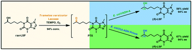 Graphical abstract: Chemoenzymatic deracemization of lisofylline catalyzed by a (laccase/TEMPO)-alcohol dehydrogenase system