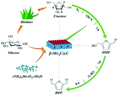 Graphical abstract: Molybdenum carbide anchored on glucose-derived carbon (β-Mo2C@C) as a bifunctional catalyst for conversion of fructose to 2,5-diformylfuran