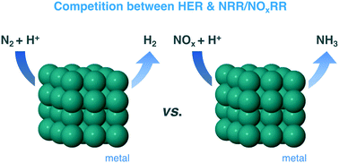Graphical abstract: Competition between metal-catalysed electroreduction of dinitrogen, protons, and nitrogen oxides: a DFT perspective