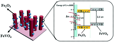 Graphical abstract: Construction of unique heterojunction photoanodes through in situ quasi-epitaxial growth of FeVO4 on Fe2O3 nanorod arrays for enhanced photoelectrochemical performance