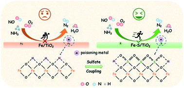 Graphical abstract: Insight on the anti-poisoning mechanism of in situ coupled sulfate over iron oxide catalysts in NOx reduction