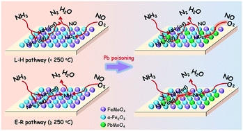 Graphical abstract: Unveiling remarkable resistance to Pb poisoning over an Fe–Mo catalyst for low-temperature NH3-SCR: poison transforms into a promoter