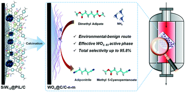Graphical abstract: Chemoselective nitrilation of dimethyl adipate with ammonia over carbon encapsulated WOx catalysts under continuous flow conditions