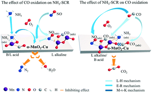 Graphical abstract: Interactions between CO oxidation and selective catalytic reduction of NO with NH3 over Mn-based catalysts