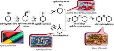 Graphical abstract: Catalytic hydrogenation of nitrocyclohexane as an alternative pathway for the synthesis of value-added products