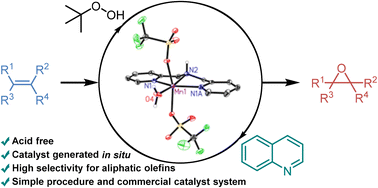 Graphical abstract: Manganese N,N,N-pincer complex-catalyzed epoxidation of unactivated aliphatic olefins