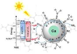Graphical abstract: Atomically dispersed s-block metal calcium site modified mesoporous g-C3N4 for boosting photocatalytic N2 reduction