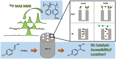 Graphical abstract: Determination of accessibility and spatial distribution of chiral Rh diene complexes immobilized on SBA-15 via phosphine-based solid-state NMR probe molecules