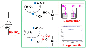 Graphical abstract: Chemical deactivation of titanosilicate catalysts caused by propylene oxide in the HPPO process