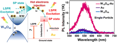 Graphical abstract: Dual-plasmon-enhanced nitrophenol hydrogenation over W18O49–Au heterostructures studied at the single-particle level