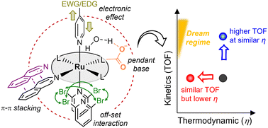 Graphical abstract: Tuning primary and secondary coordination spheres of ruthenium complexes for the homogeneous water oxidation reaction: a perspective from catalytic activity and overpotential