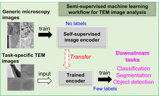 Graphical abstract: Semi-supervised machine learning workflow for analysis of nanowire morphologies from transmission electron microscopy images