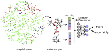 Graphical abstract: Molecular set transformer: attending to the co-crystals in the Cambridge structural database