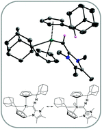 Graphical abstract: Reaction of a bis(pentafulvene)titanium complex with an N-heterocyclic olefin: C–H-activation leads to resonance between a titanium vinyl and titanium alkylidene complex