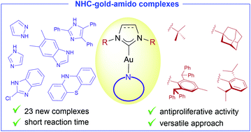 Graphical abstract: A simple synthetic entryway into new families of NHC–gold-amido complexes and their in vitro antitumor activity