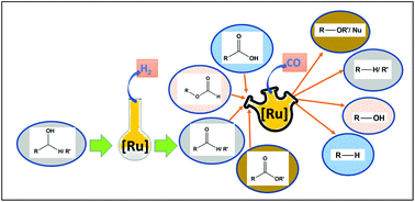 Graphical abstract: Recent advancements on decarbonylation reactions assisted by Ru-complexes: Synthetic and mechanistic approach