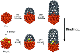 Graphical abstract: The promoter role of sulfur in carbon nanotube growth