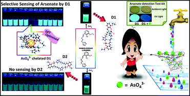 Graphical abstract: Effect of O-substitution in imidazole based Zn(ii) dual fluorescent probes in the light of arsenate detection in potable water: a combined experimental and theoretical approach