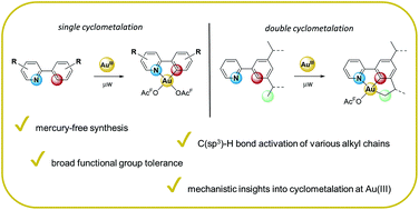 Graphical abstract: Synthesis of substituted (N,C) and (N,C,C) Au(iii) complexes: the influence of sterics and electronics on cyclometalation reactions