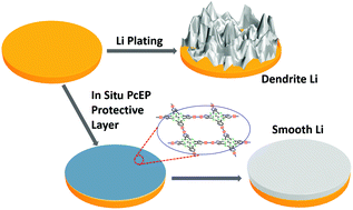 Graphical abstract: Precise construction of lithiophilic sites by diyne-linked phthalocyanine polymer for suppressing metallic lithium dendrite
