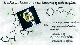 Graphical abstract: Clinically used antifungal azoles as ligands for gold(iii) complexes: the influence of the Au(iii) ion on the antimicrobial activity of the complex