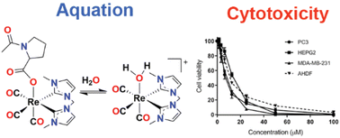 Graphical abstract: Cytotoxic properties of rhenium(i) tricarbonyl complexes of N-heterocyclic carbene ligands