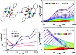Graphical abstract: Single-molecule magnet behaviour in a centrosymmetric dinuclear dysprosium(iii) complex: sequential differentiation of triple relaxation pathways