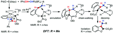 Graphical abstract: DFT characterisation of a PdII → IIII adduct, and a PdII complex formed after oxidative alkenylation of PdII by [Ph(alkenyl)IIII]+, in Pd-mediated synthesis of benzofurans involving PdIV, annulation and chain-walking