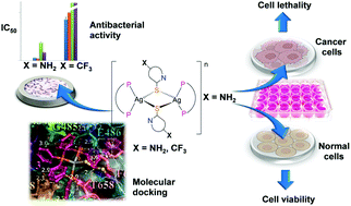Graphical abstract: Silver(i) complexes bearing heterocyclic thioamide ligands with NH2 and CF3 substituents: effect of ligand group substitution on antibacterial and anticancer properties