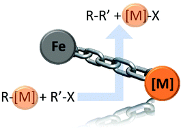 Graphical abstract: The crucial and multifaceted roles of main-group cations and their salts in iron-mediated cross-couplings
