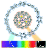 Graphical abstract: Visible and near-infrared photoluminescence of a supramolecular complex constructed from a cycloparaphenylene nanoring and an erbium metallofullerene